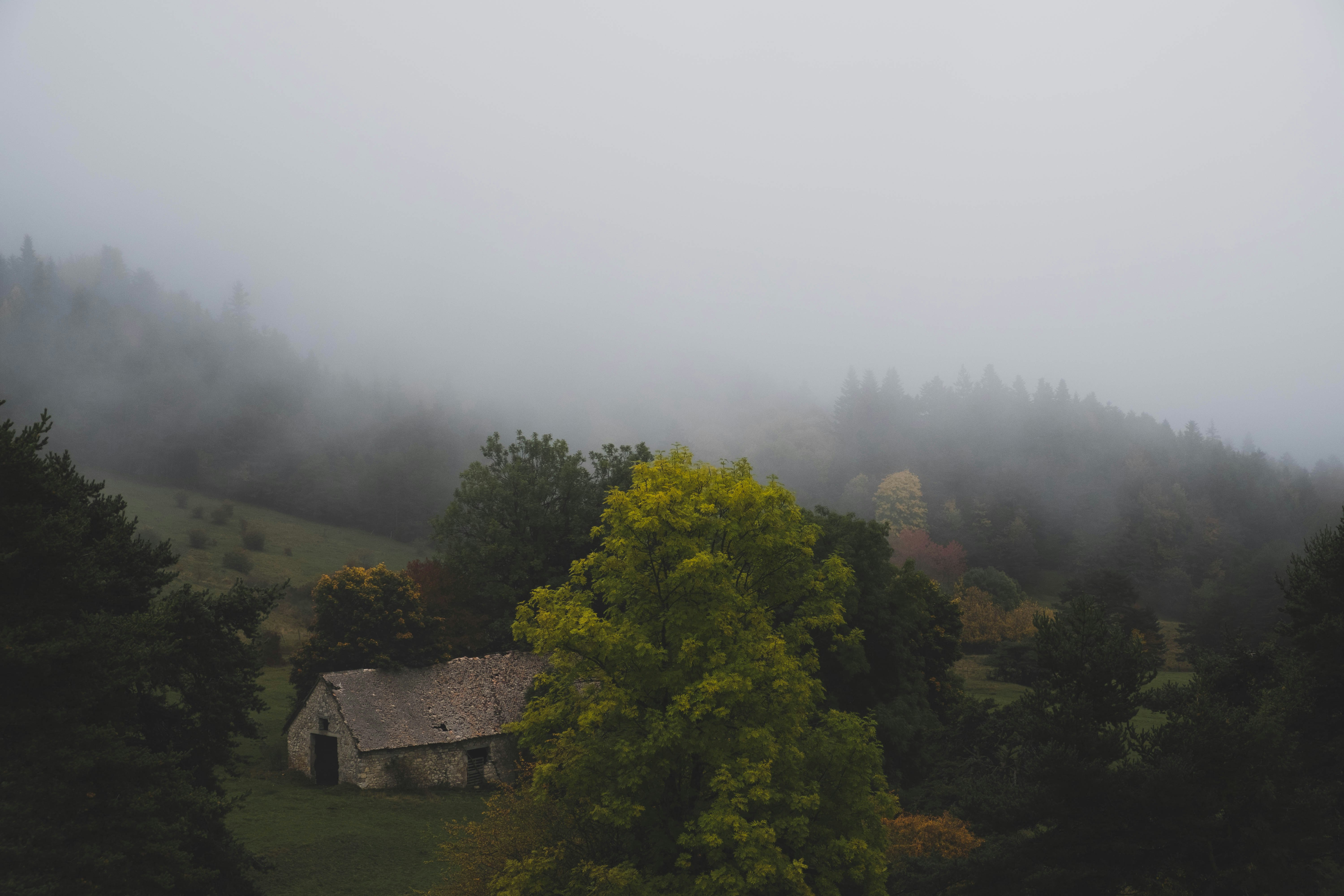 concrete shack on hill near trees